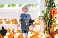 pumpkin_p-16