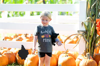 pumpkin_p-15