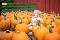 pumpkins-133