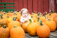 pumpkins-127