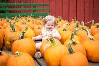 pumpkins-131