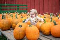 pumpkins-126
