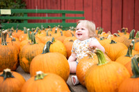 pumpkins-134