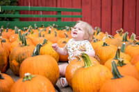 pumpkins-129