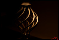 The light