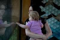 zoo-2