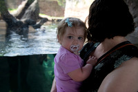 zoo-4