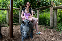 zoo-10