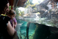zoo-5
