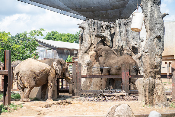 zoo-27