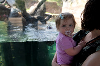 zoo-3