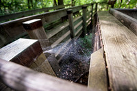 web