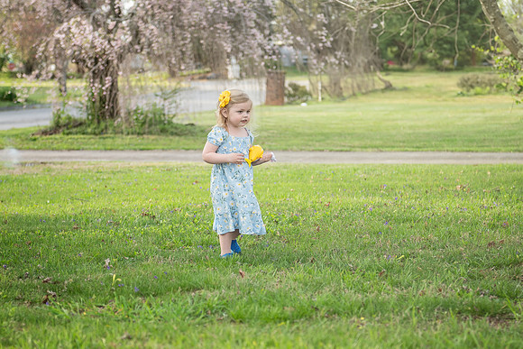 DSC_3819-Edit