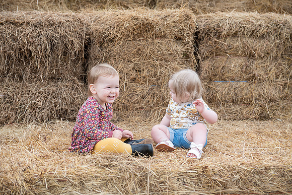 pumpkins-56